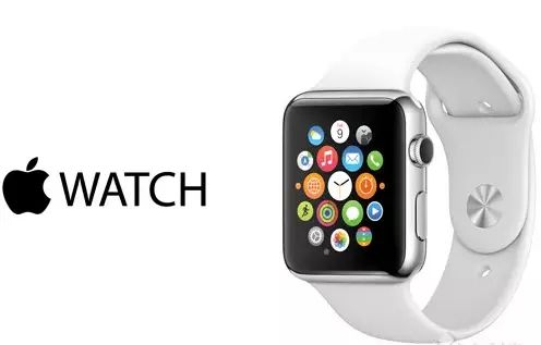 苹果手表心电图功能遭起诉侵犯某医疗设备专利-泉州专利申请的原则包括哪些